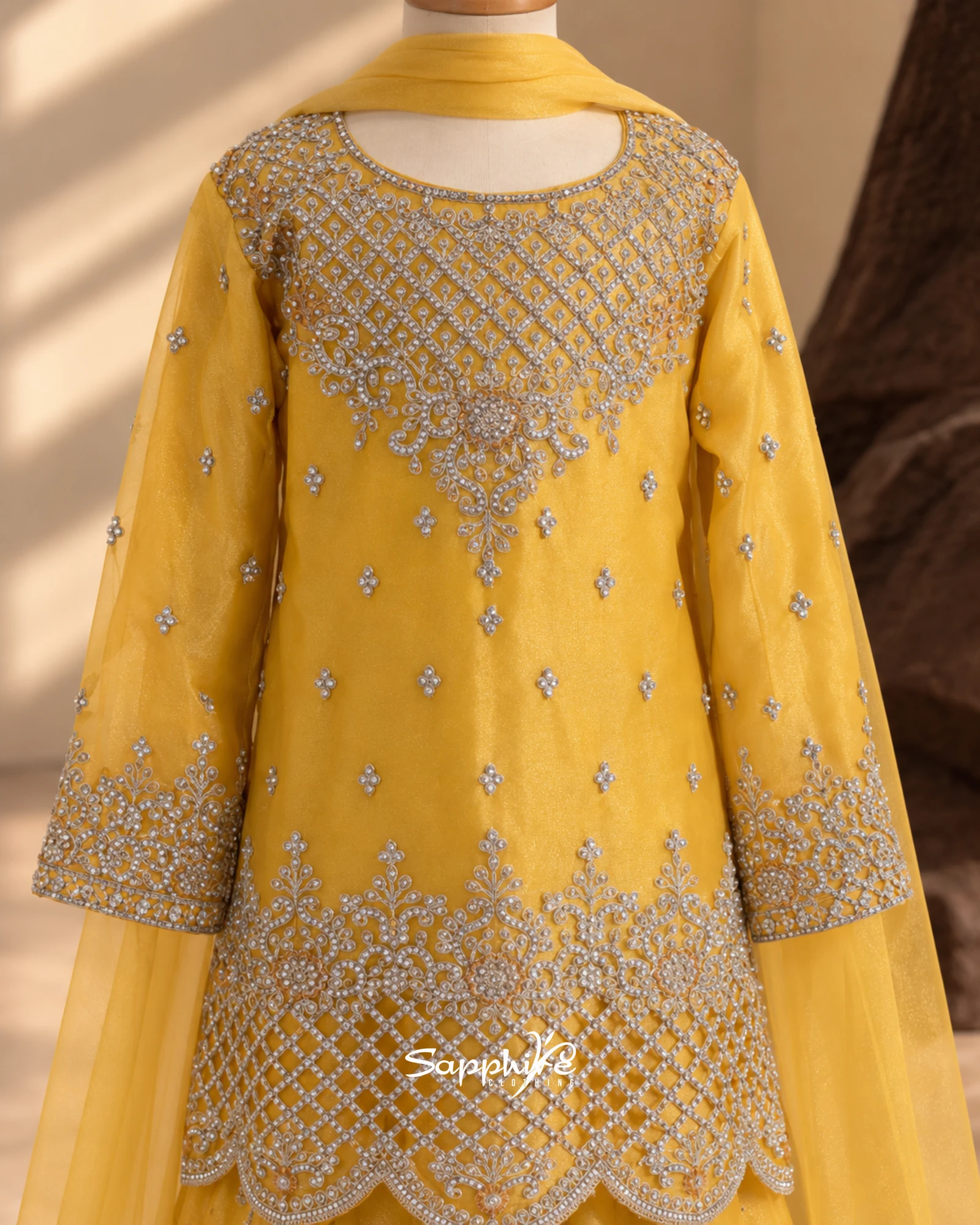 Sunlit Noor Silver Embellished Gharara Set detail 3